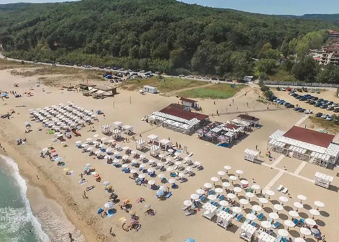 Art Sense мезонет *